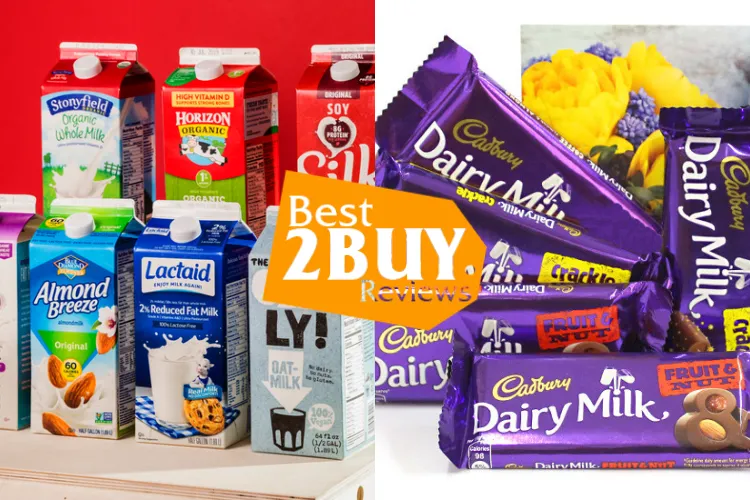 Dairy Milks Guide: Types, Dairy Products, Processing Methods & Real Uses in Everyday Cooking