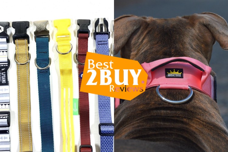 Basic Dog Collars