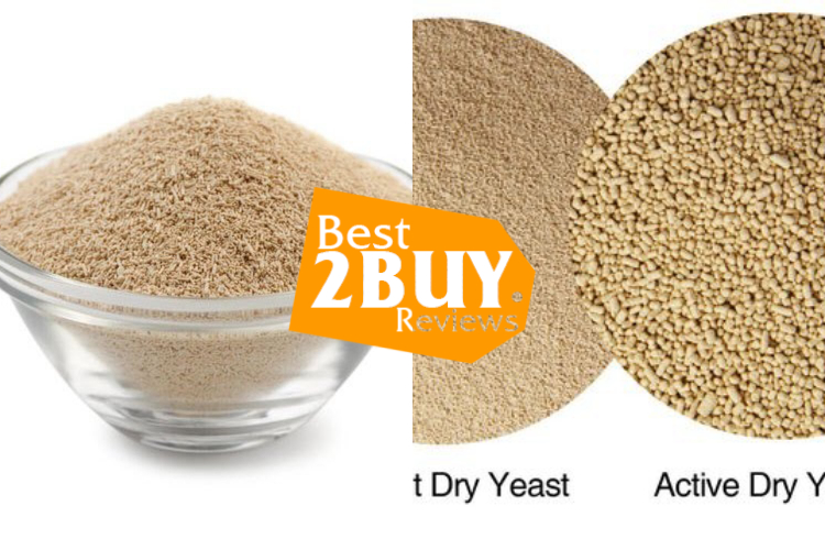 Active Dry Yeasts