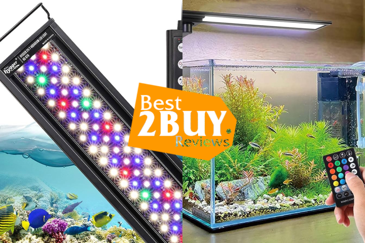 Aquarium lights