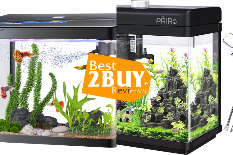 Aquarium Starter Kits