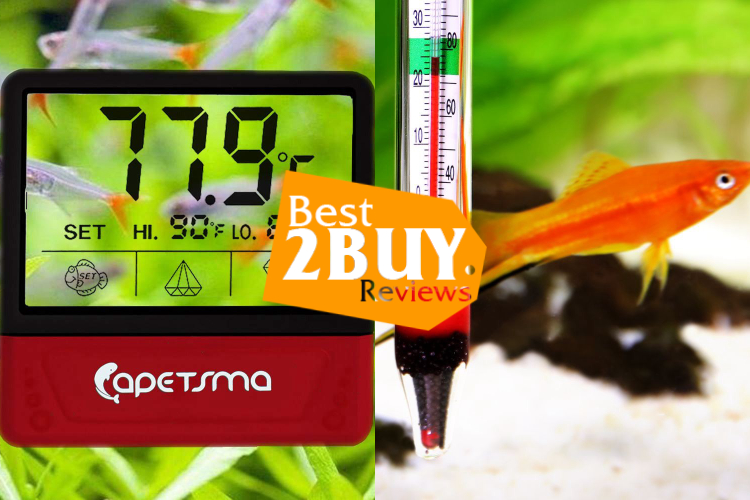 Aquarium thermometers