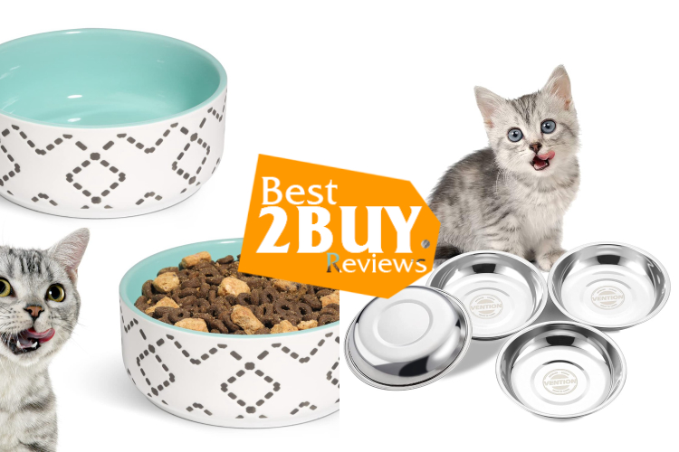 Basic Cat Bowls