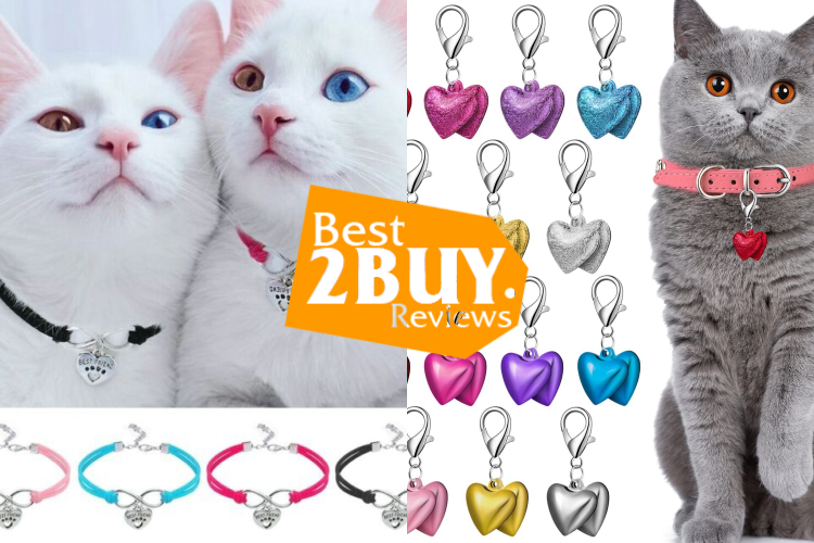 Cat Collar Charms