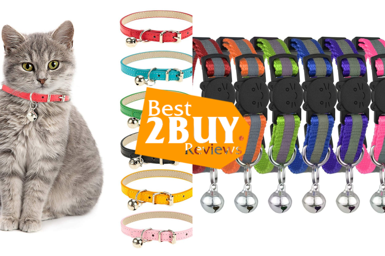 Cat Collars