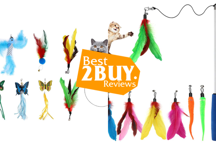 Cat Feather Toys