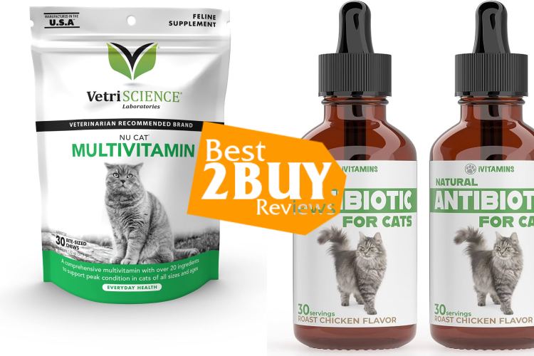 Cat Multivitamins