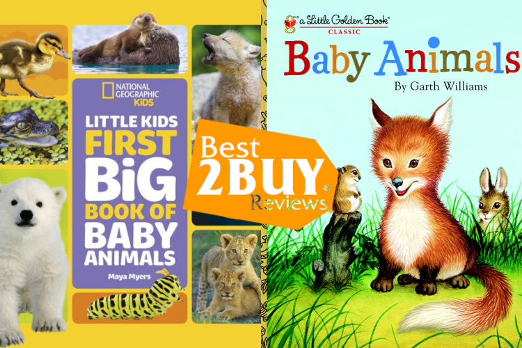 Children's Baby Animal Books