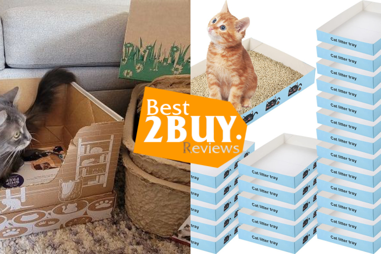 Disposable Cat Litter Boxes