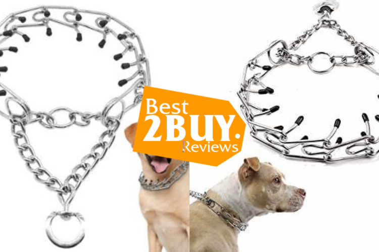 Dog Pinch Collars