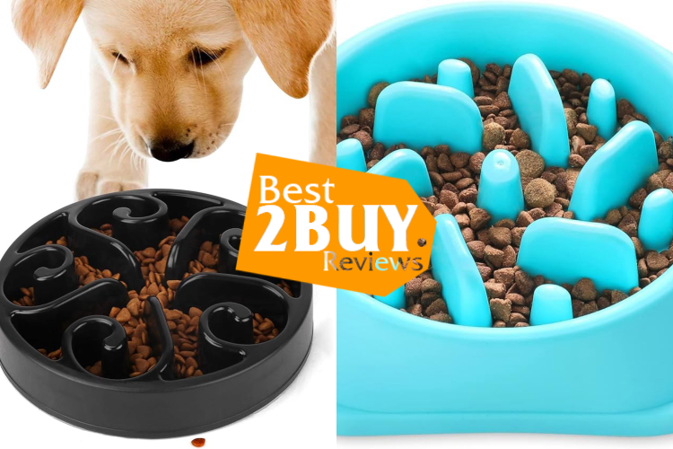 Dog Slow Feeders