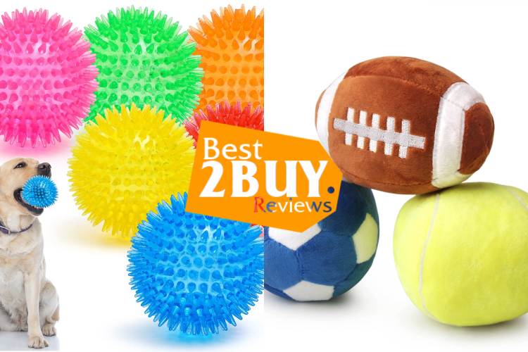 Dog Toy Balls