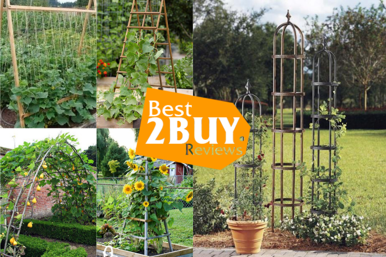 Garden Trellises