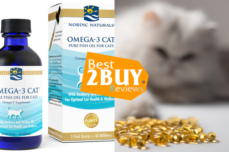 Fish Oil Supplements for Cats