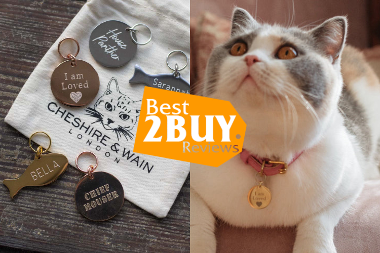 Cat ID Tags