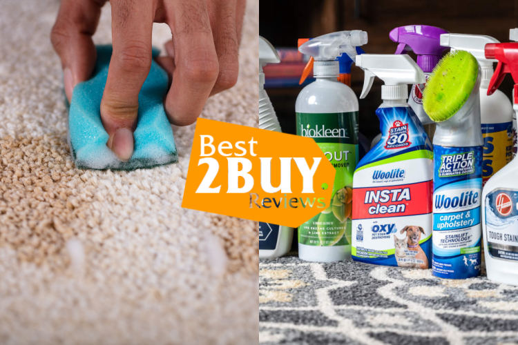 Carpet Stain Removers