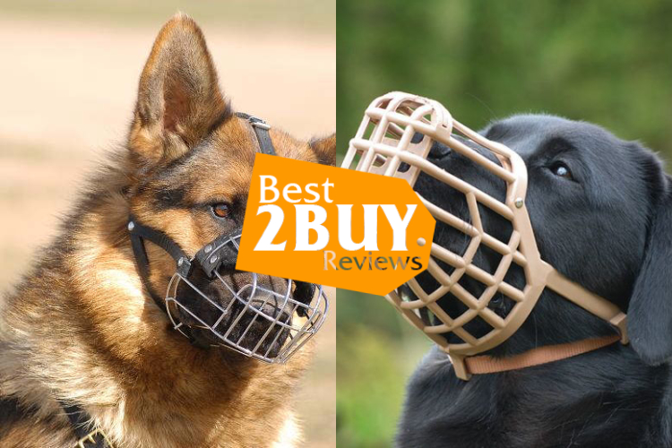 Dog Muzzles