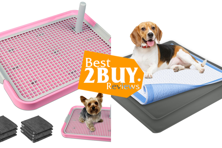 Dog Training Pads & Trays