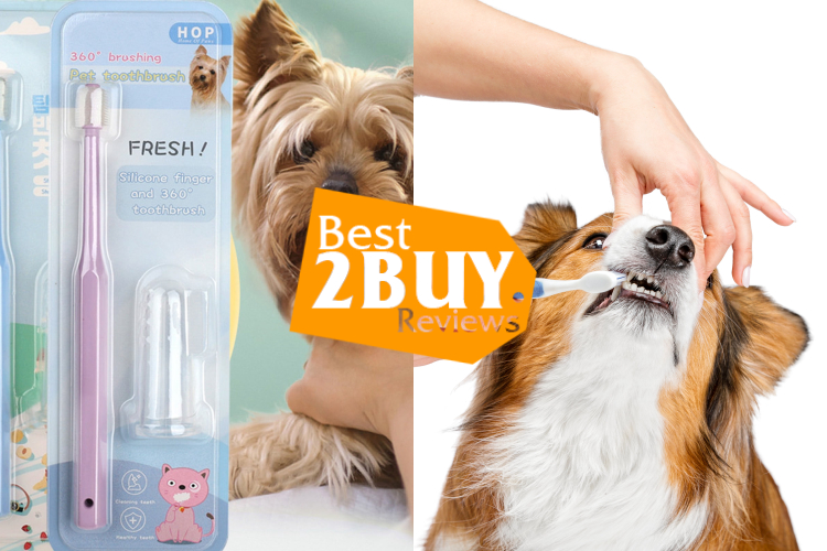 Dog Toothbrushes