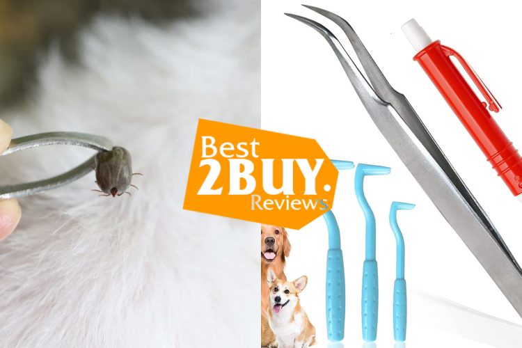 Dog Tick Remover Tools