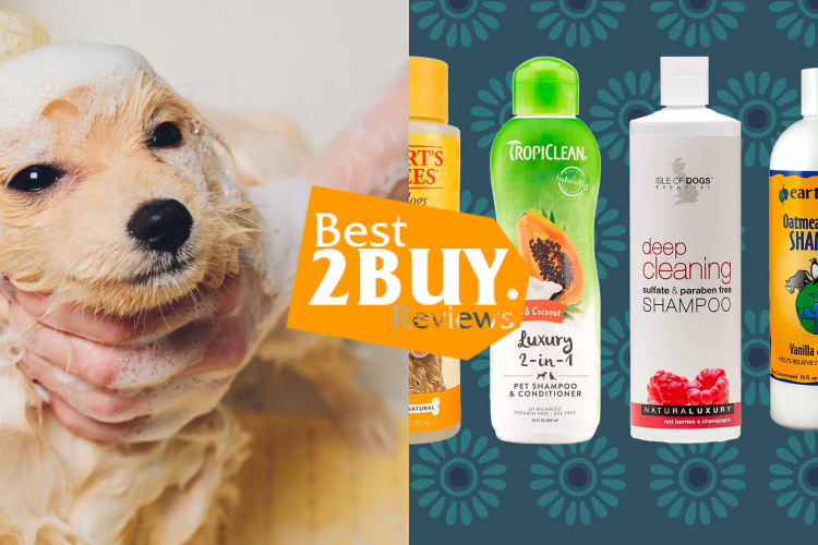 Dog Shampoos