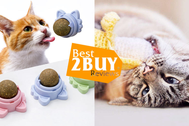 Catnip Toys