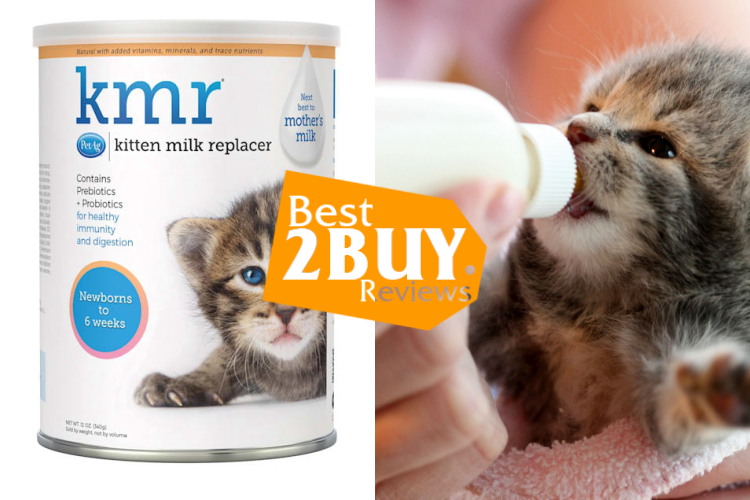 Cat Milk Replacers