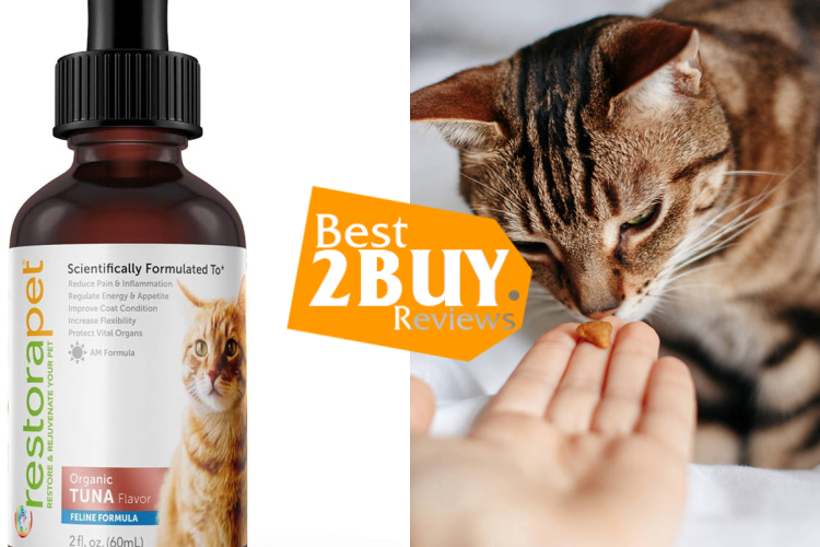 Cat Antioxidant Supplements