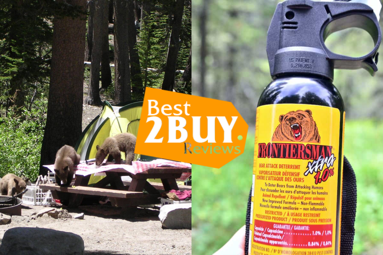 Camping Bear Protection Products