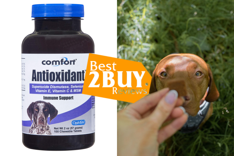 Dog Antioxidant Supplements