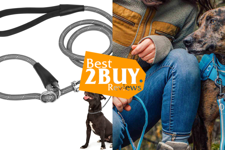 Dog Training Leashes