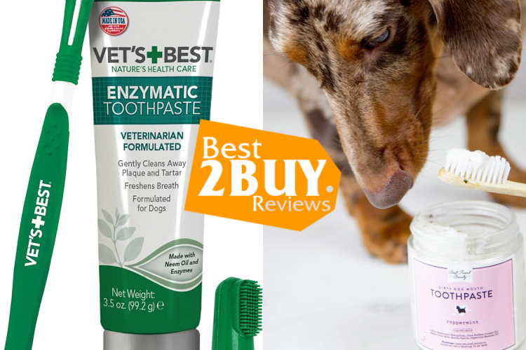 Dog Toothpaste