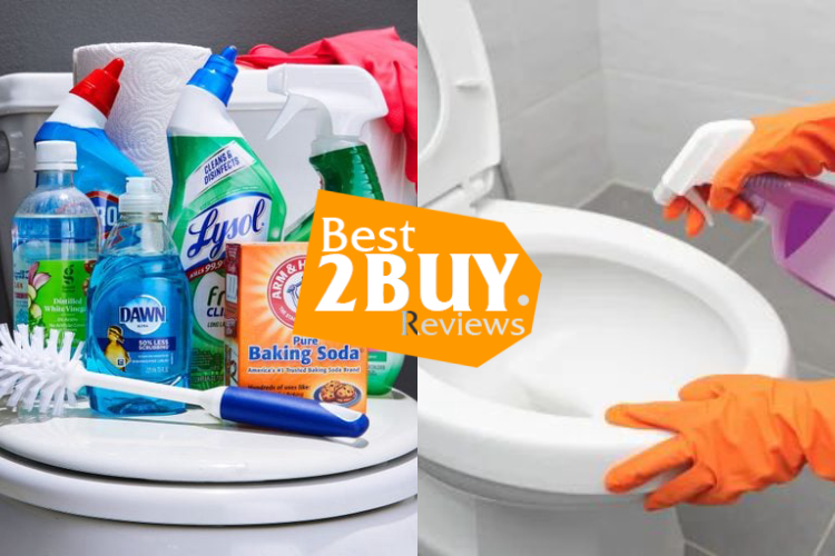 Household Toilet Cleaners