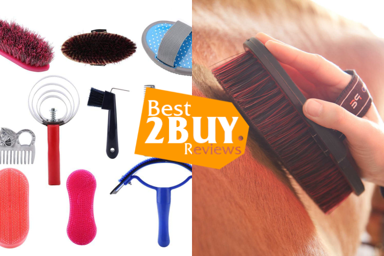 Horse Brushes