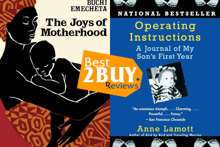 Motherhood Books