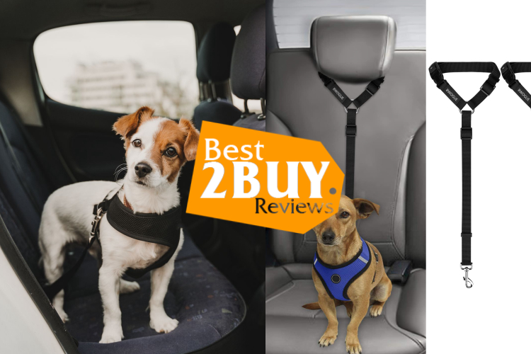 Dog Car Harnesses