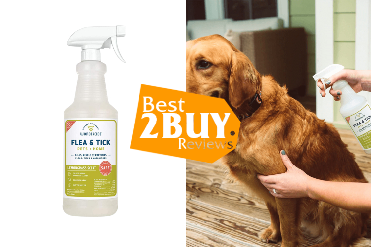 Dog Flea Sprays