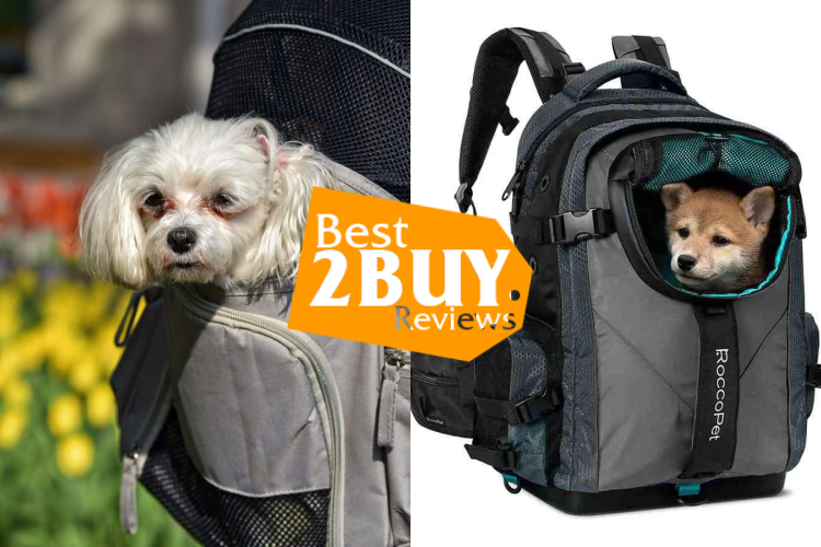 Dog Carrier Backpacks