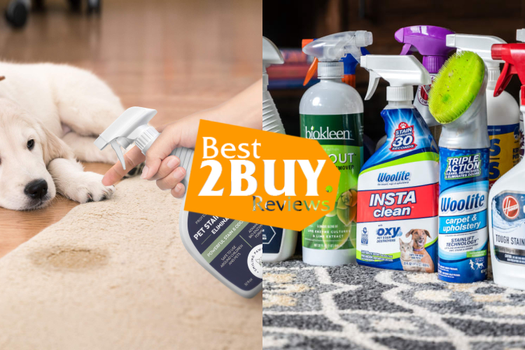 Dog Odor & Stain Removers