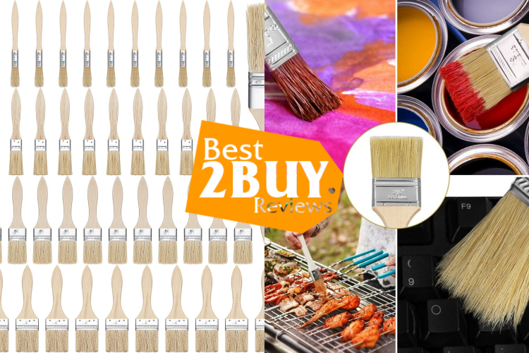 Household Bristle Paint Brushes