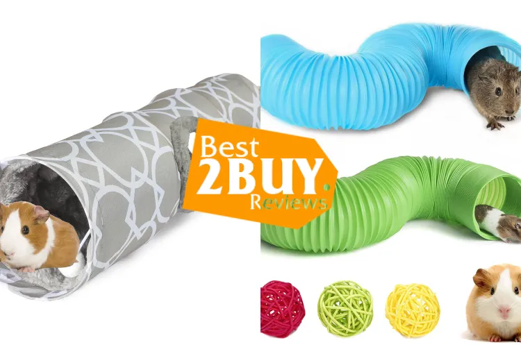 Small Animal Tubes & Tunnels – Modular Enrichment for Hamsters, Guinea Pigs & More