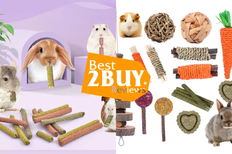 Small Animal Toys