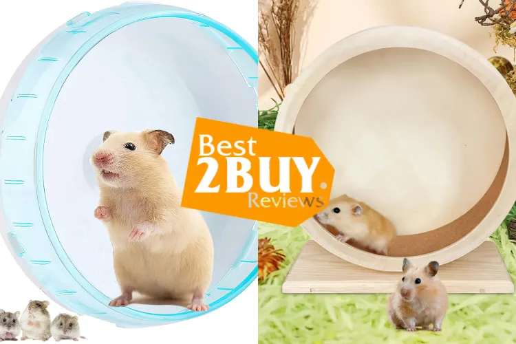 Small Animal Exercise Wheels Review: Quiet, Safe Options for Hamsters & Gerbils
