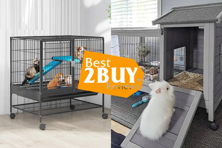 Small Animal Cages Explained: Practical Picks That Make Daily Care Easier