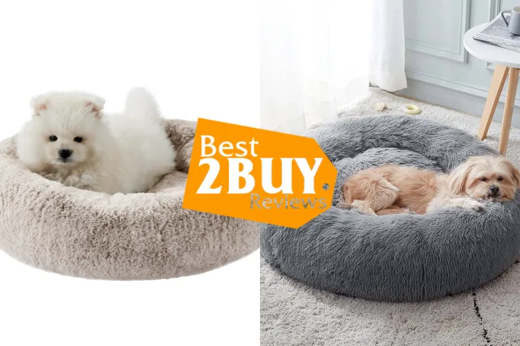 Kaytee Small Animal Cuddle Cup Review | Cozy & Practical Small Animal Beds