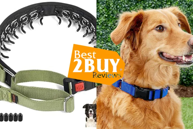 Slip & Martingale Collars: Real-World Pros, Cons, and When They’re Worth It
