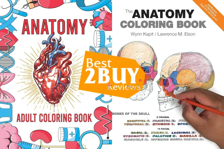 Science & Anatomy Coloring Books for Grown-Ups: A Practical Review for Students & Curious Minds