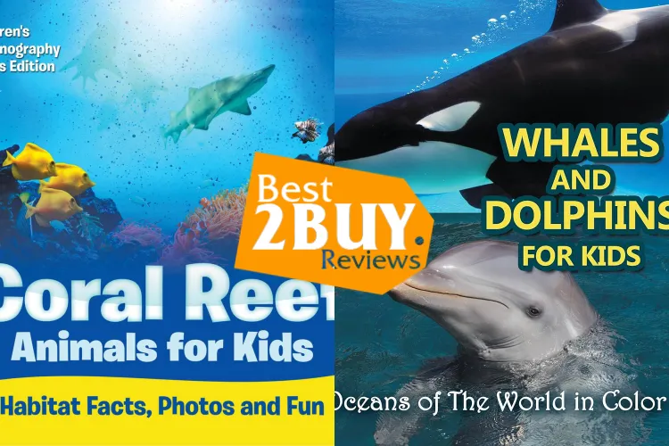 Children’s Oceanography Books Review: Durable Picks for Curious Kids & Ocean Learning