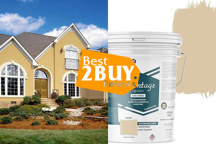  Interior & Exterior House Paint