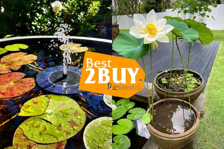 Outdoor Aquatic Plants Review: Do They Really Improve Your Pond or Just Add Work?
